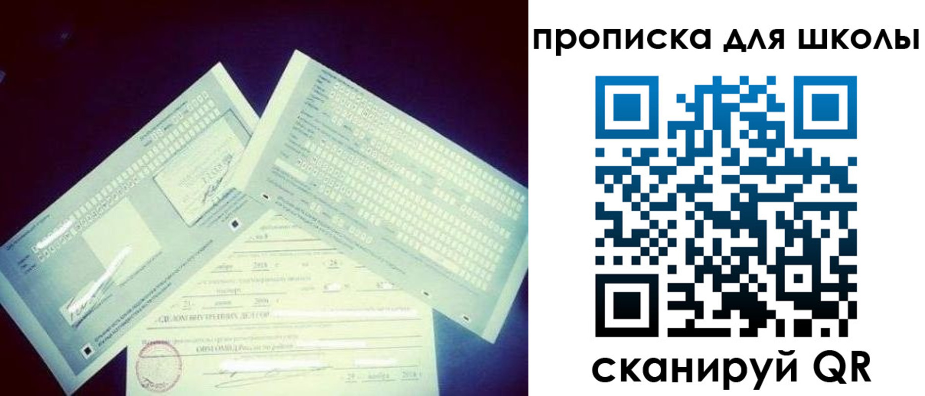 временная регистрация в квартире в Калининградской области